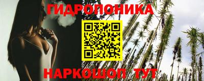 дживик Сланцы