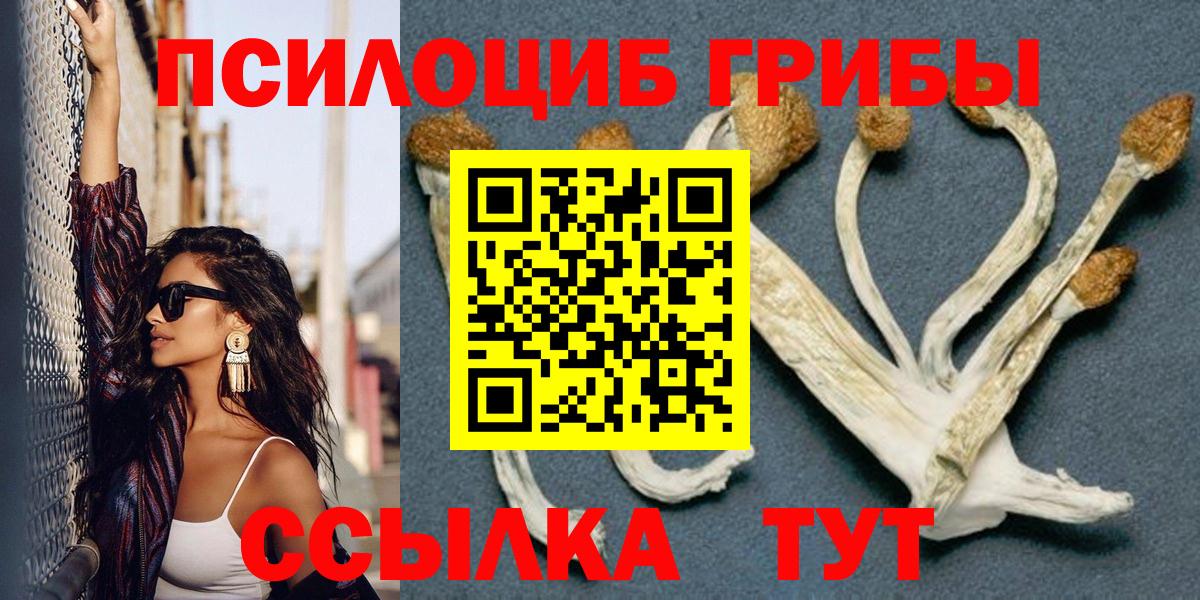дарнет шоп  Псилоцибиновые грибы Magic Shrooms  Вход с VPN  Псилоцибиновые грибы GOLDEN TEACHER  Родники 